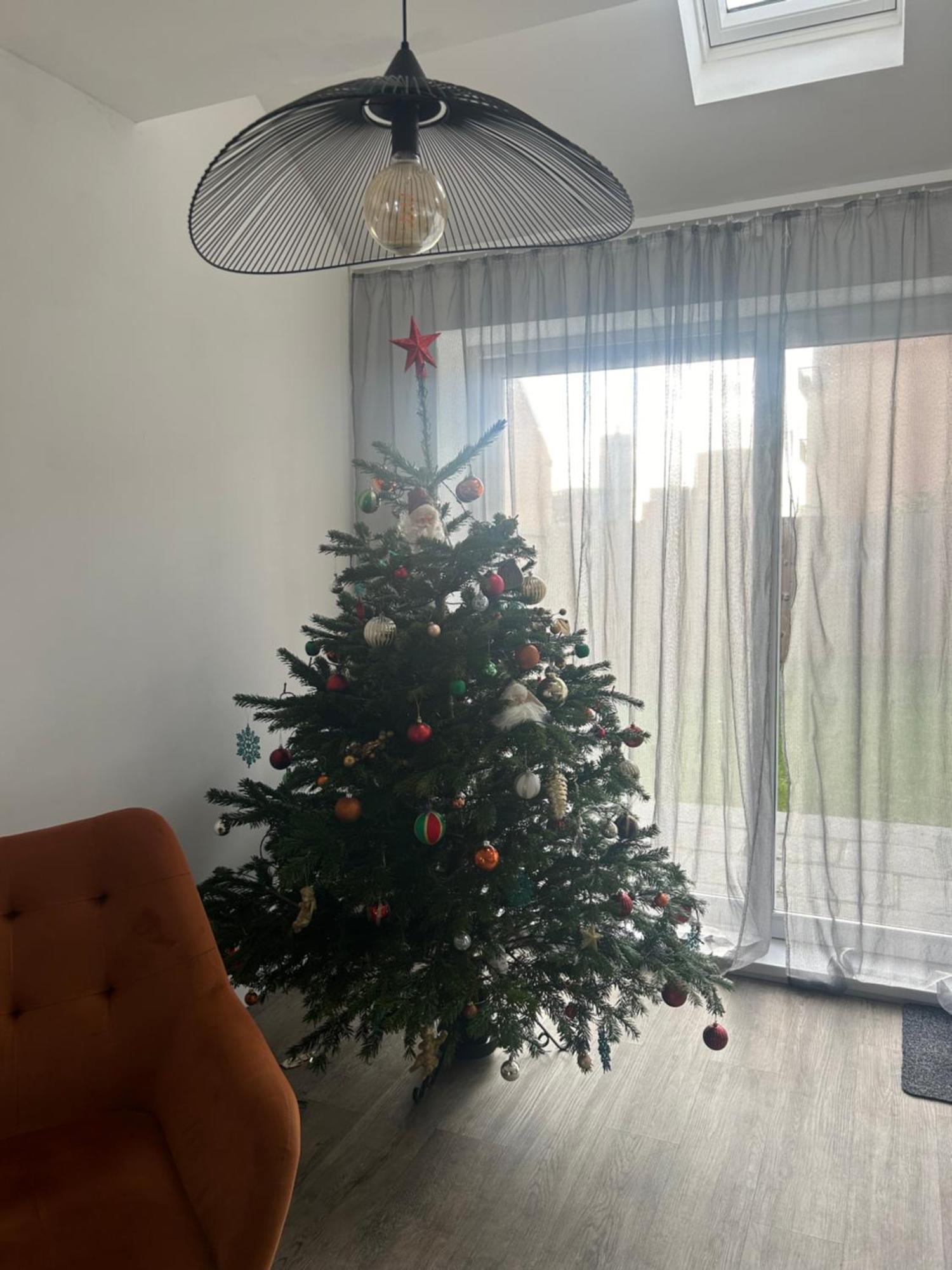 The Red House Modern Stylish Home From Home Walking Distance To Cardiff Bay And City Centre With Parking Ngoại thất bức ảnh